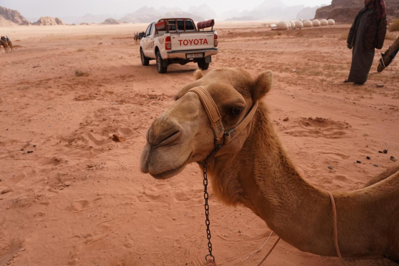 Shaheen Camp Wadi Rum Extérieur photo